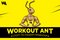    WORKOUT ANT