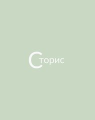 Сторис (ИП Кочеткова Мария Александровна)