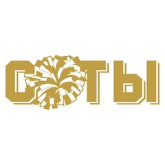 Школа Чир-спорта Соты