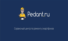 Pedant.ru (ИП Набока Александр Витальевич)