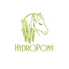 Сити-ферма HydroPony