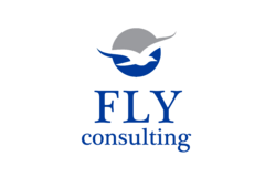 CONSULTING FLY