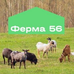 Ферма 56 (ООО Штурман)