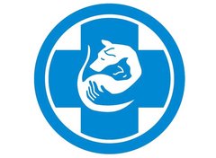 республиканская 52 д курск. ветклиника подлесный курск республиканская. ветклиника подлесный курск республиканская. ветеринарная клиника подлесный курск. ветклиника подлесный курск республиканская.