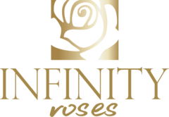 Infinity Roses