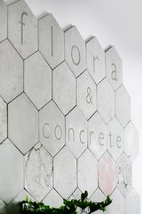 Flora and Concrete Studio