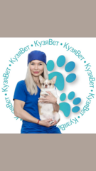 Кузявет, ветеринарные клиники