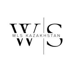 WLS KAZAKHSTAN (WORLDWIDE LOGISTICS SOLUTION)