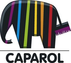 Caparol, Группа компаний