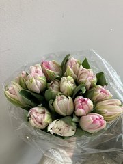 Зберановский Игорь Александрович