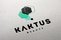 Kaktus Beauty