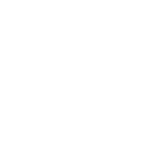 БОРИСФЕН