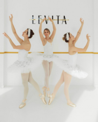 Студия балета и растяжки LEVITA (Гусева Валерия)