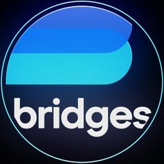 Bridges Consulting