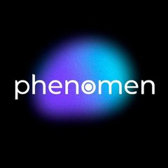 IT-PHENOMEN