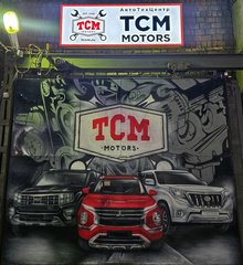 TCM Motors