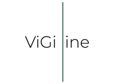 VIGI LINE LLC