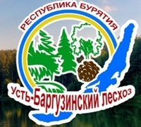 АУ РБ Усть-Баргузинский лесхоз