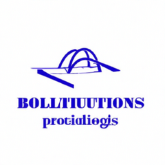Plotnikov Bridge Solutions