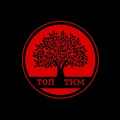 Топ-Тим