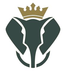 Делфон