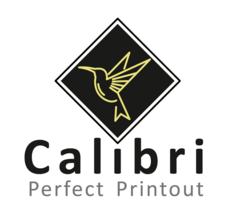 ЧП CALIBRI PERFECT PRINTOUT