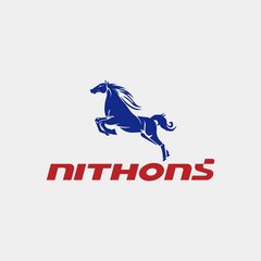 Tianjin Nithons Technology