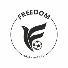 Freedom FC Футбол для детей в Калининграде