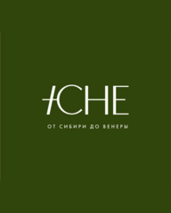 ICHE, Сибирский бренд женской одежды