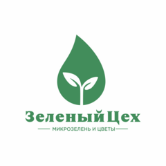 Мажейка Антанас Саулюсович