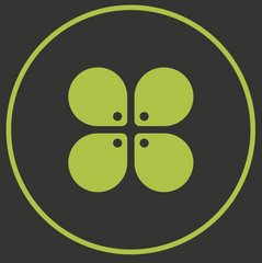 Maya Media Group