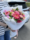   All about flowers