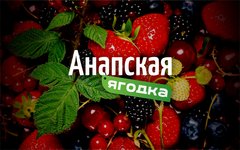 Тепличный Комплекс Анапская Ягодка