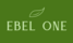 EBEL ONE