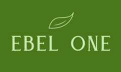 EBEL ONE