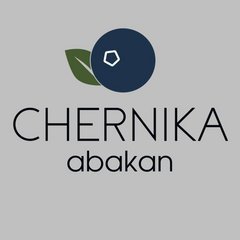 Chernika nails Abakan