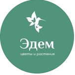 Флауэрсэдем
