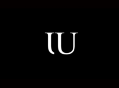 TIU (ИП Тубольцева Юлия Олеговна)