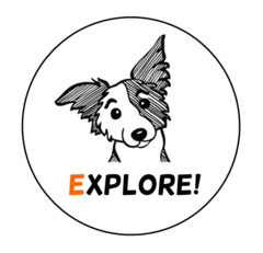 Школа английского языка Explore