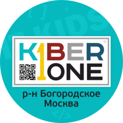 Kiberone (ИП Серик Любовь Сергеевна)