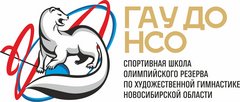 ГАУ ДО НСО СШОР по художественной гимнастике