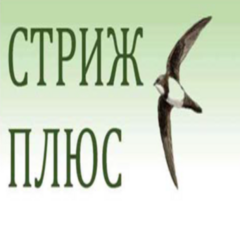 Стриж Плюс