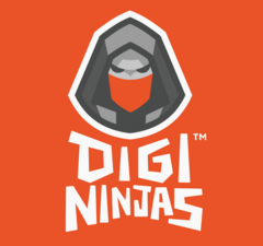 DigiNinjas (ИП Голубев Филипп Евгеньевич)