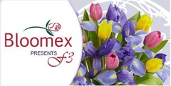 Bloomex Company Group