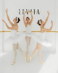 LEVITA (ИП Калинин Михаил Николаевич)