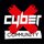 CyberX (ИП Качалов Сергей Андреевич)