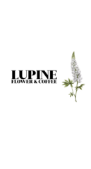 LUPINE Flower&coffee