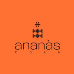 Студия Колористики Ananas_base