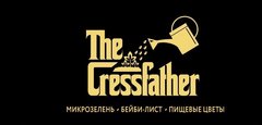 The Cressfather. Производство микрозелени