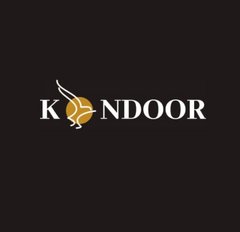 Kondoor